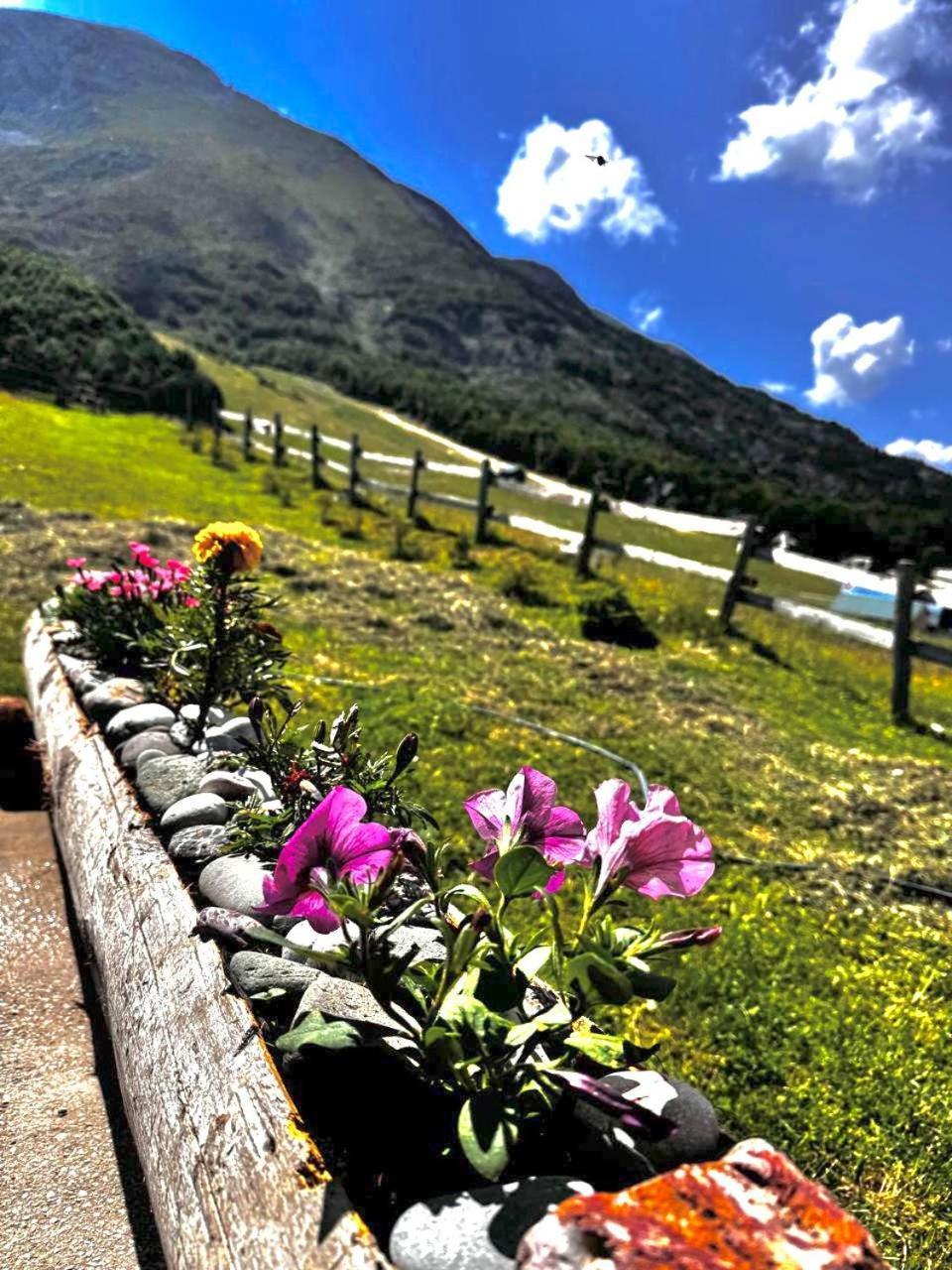 Mountain House Savin Kuk Villa Žabljak Екстериор снимка