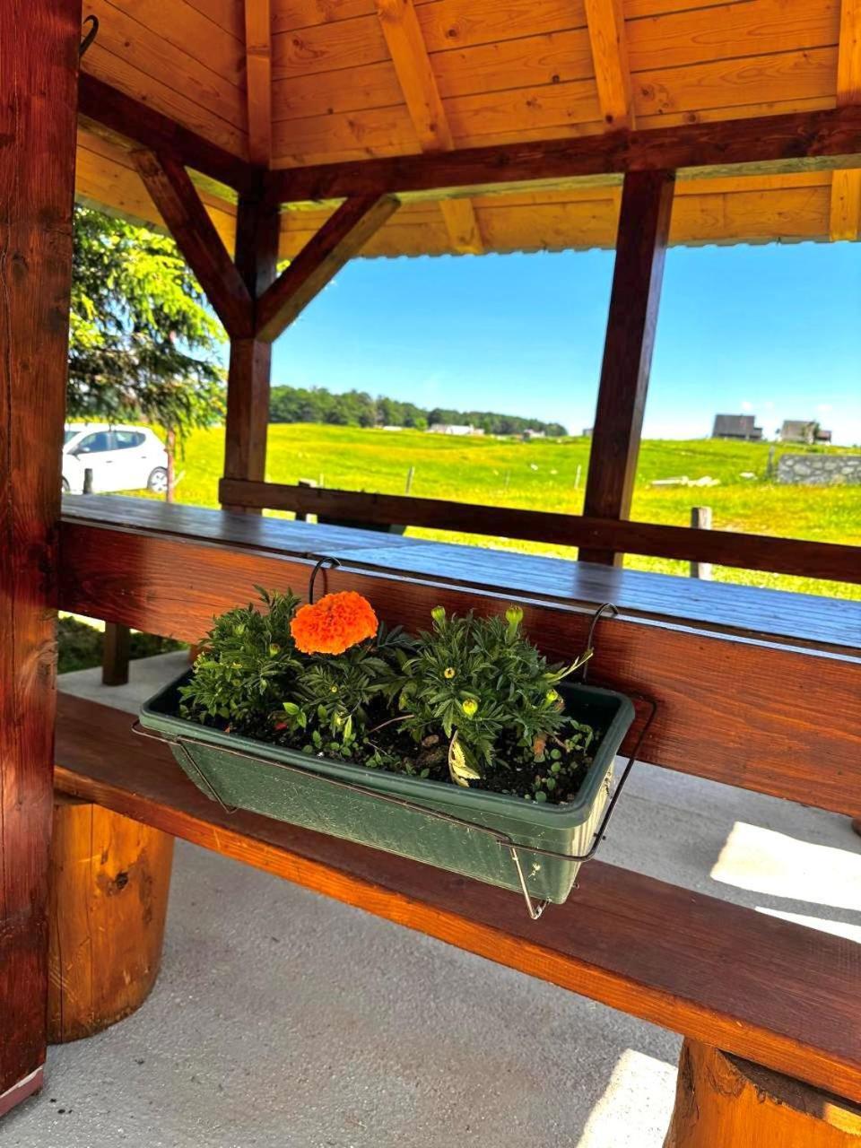 Mountain House Savin Kuk Villa Žabljak Екстериор снимка